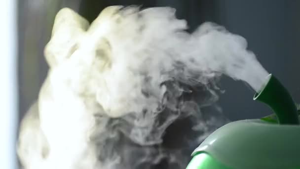 Luftbefeuchter verteilt Feuchtigkeit — Stockvideo