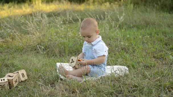 Bambino che gioca con i dadi nel parco — Video Stock