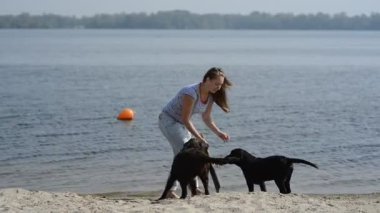 güzel kız ile kahverengi Labrador'un oynuyor