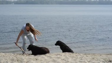 güzel kız ile kahverengi Labrador'un oynuyor