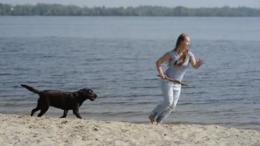 güzel kız ile kahverengi Labrador'un oynuyor