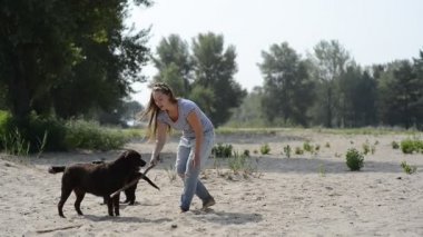 güzel kız ile kahverengi Labrador'un oynuyor
