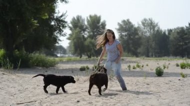 güzel kız ile kahverengi Labrador'un oynuyor
