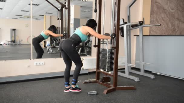 Mignonne fit girl faire des exercices sur le simulateur — Video