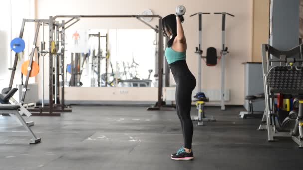 Beautiful fit girl doing exercises with dumbbells — Stock Footage Beautiful fit girl doing exercises with dumbbells Royalty Free Stock Video