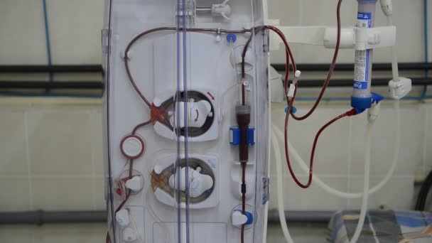 Hemodialys-maskiner med slang. — Stockvideo