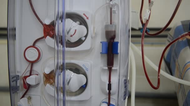 Hemodialyse machines met buizen. — Stockvideo