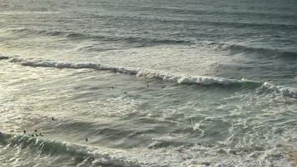 A szörfösök szörfdeszkákon úsznak az óceánban, egy hatalmas hullámra várva az óceánban. — Stock videók