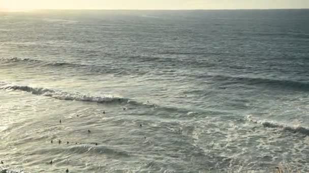 Les surfeurs nagent dans l'océan sur des planches de surf en prévision d'une grande vague puissante dans l'océan — Video