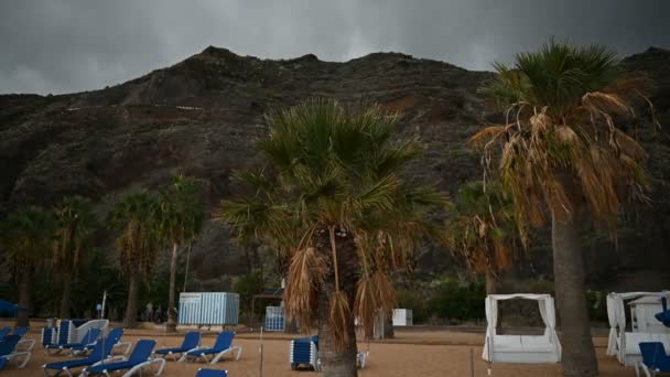 Vista desde la altura de la arena dorada, palmeras, tumbonas. tiempo nublado — Vídeo de stock