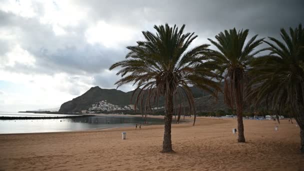 Vista da altura da areia dourada, palmeiras, espreguiçadeiras. tempo nublado — Vídeo de Stock