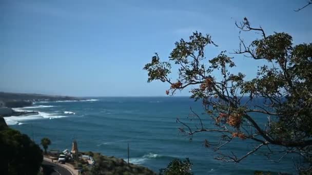 Beautiful view from above of the ocean and coast on a sunny day, Tenerife, vacation and holidays — Stock Video