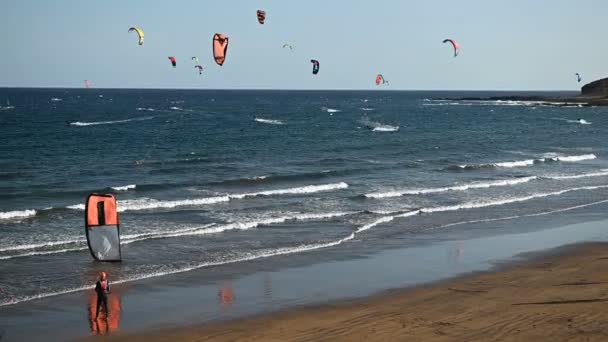 Many colorful kites on beach and kite surfers riding waves during windy day — 图库视频影像