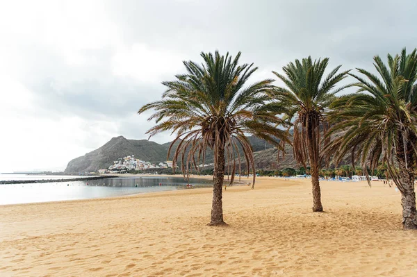 Blick aus der Höhe des goldenen Sandes, Palmen, Liegestühle. Bewölktes Wetter — Stockfoto
