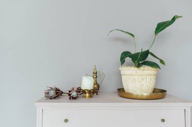 Geniş bir odada ev bitkileri ve dekorasyonu olan şık çekmeceler.