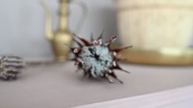 Tahta büfenin üstündeki vazoda sanatsal bir çiçek. Stüdyo çekimi