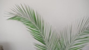 Dekoratif eğreltiotu yaprağı süslemeli çekmecelerin yanındaki odada.