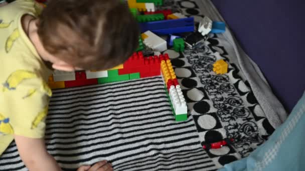 Niño feliz jugando en los bloques de colores en un sofá a rayas — Vídeo de stock