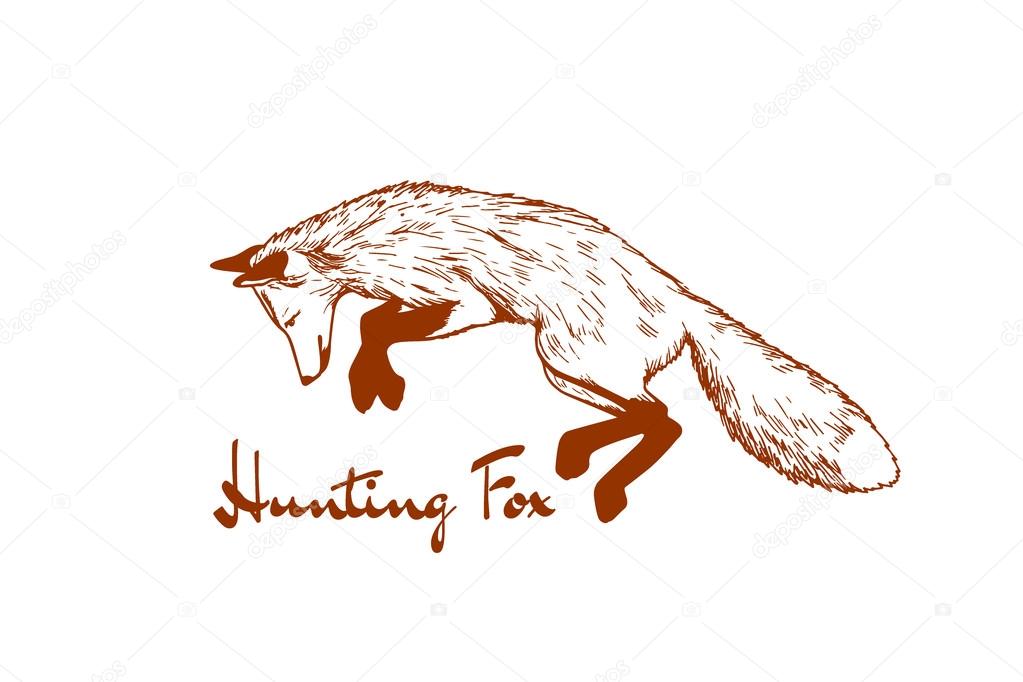 Hand drawn hunting fox