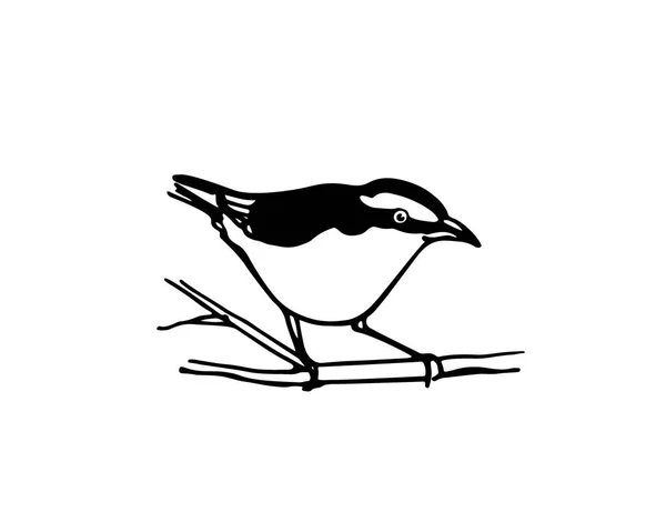 Oiseau dessiné main — Image vectorielle