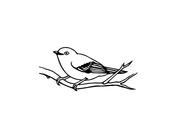 Hand drawn bird — Stock Vector