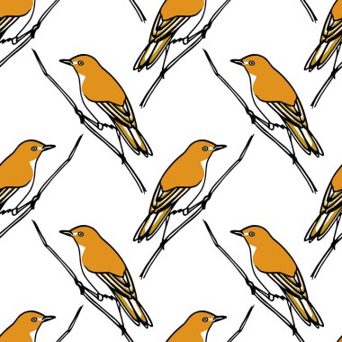 kuşlar seamless modeli