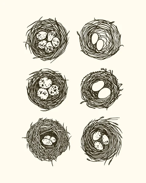 Hand drawn nests illustration — Stock Vector