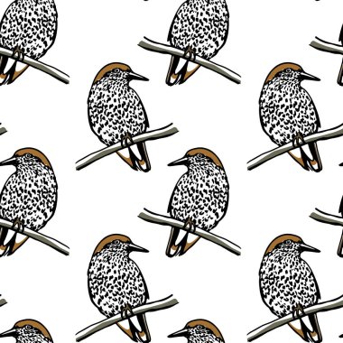 kuşlar seamless modeli