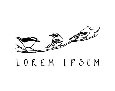 çizilmiş kuşlar el