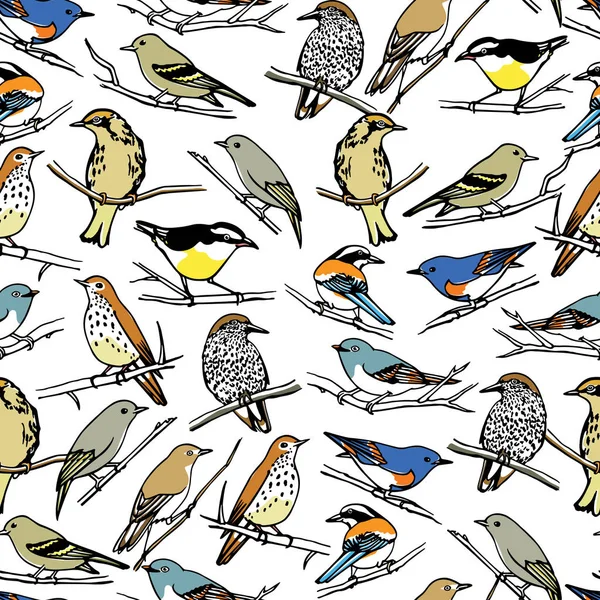 Oiseaux motif sans couture — Image vectorielle