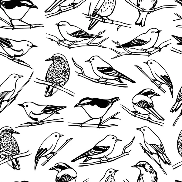 Wzór ptaków — Wektor stockowy