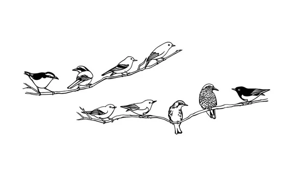 Боку звернено птахів — стоковий вектор