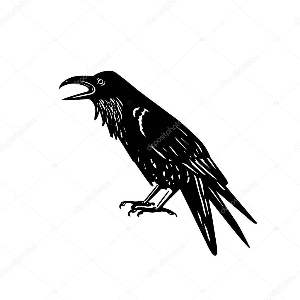 Vector illustration of hand drawn raven with open beak. Ink drawing, graphic style.