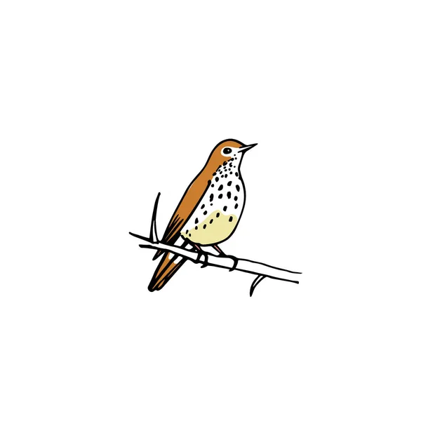 Pájaro dibujado a mano — Archivo Imágenes Vectoriales