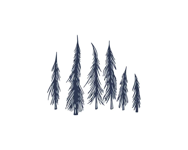 Kézzel rajzolt lucfenyő fák — Stock Vector