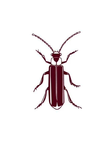 Bug dessiné à la main — Image vectorielle
