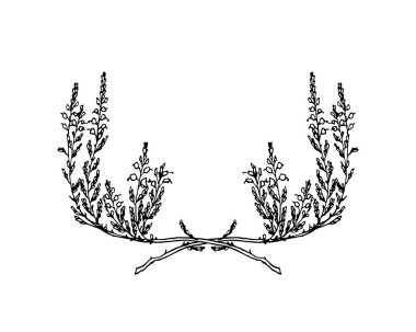 Çizilmiş heather el