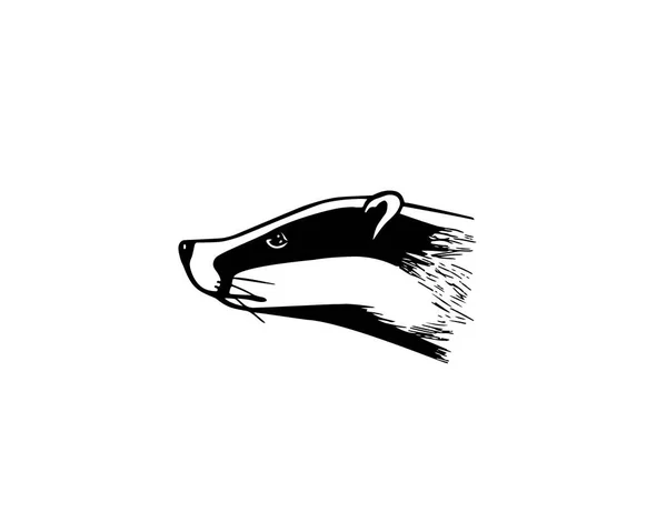 手画的獾头 — 图库矢量图片
