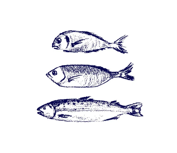 Handgezeichneter Fisch — Stockvektor