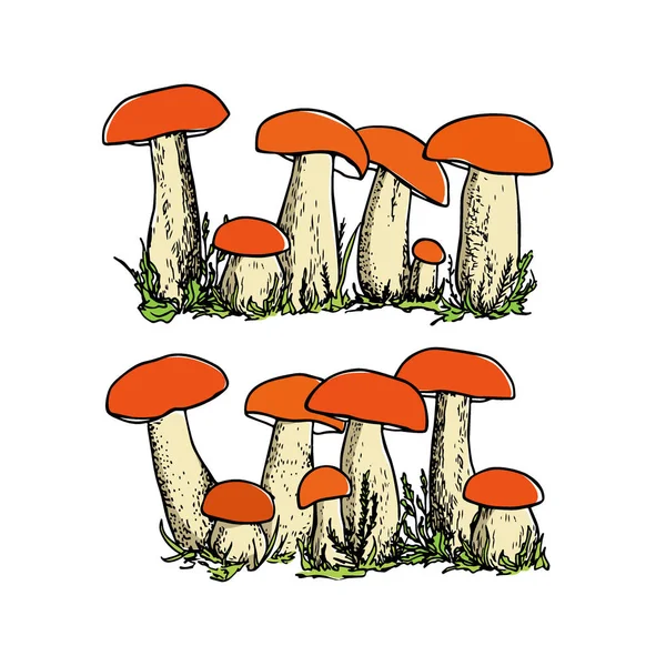 Ручные грибы — стоковый вектор