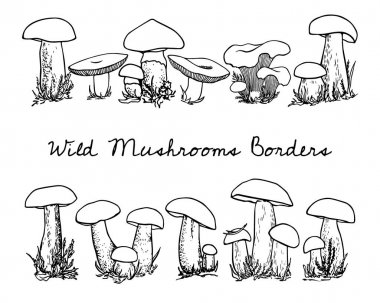 Yabani mantar el çekilmiş