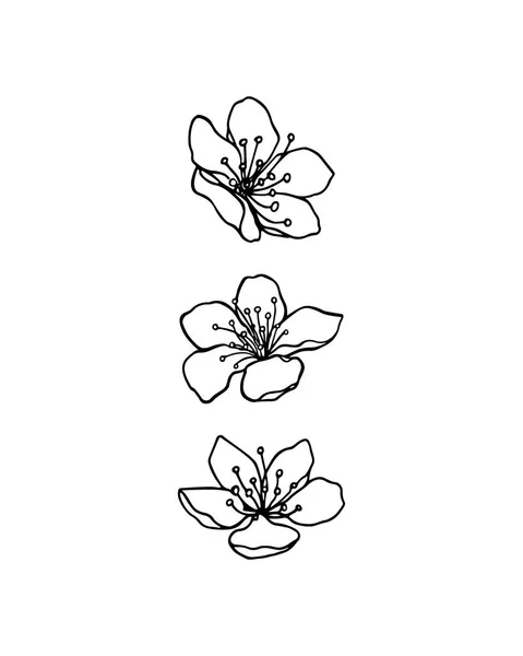Fleurs de sakura dessinées à la main — Image vectorielle