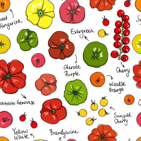 Patrón sin costuras de tomates — Vector de stock