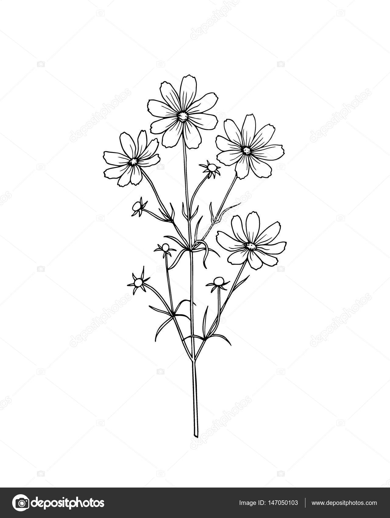 Free Free 238 Hand Drawn Wildflower Svg SVG PNG EPS DXF File