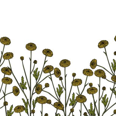 Elle çizilmiş kır çiçeği