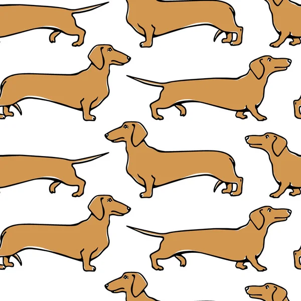 Patrón sin costuras Dachshunds — Vector de stock