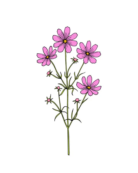 Ручной полевой цветок — стоковый вектор