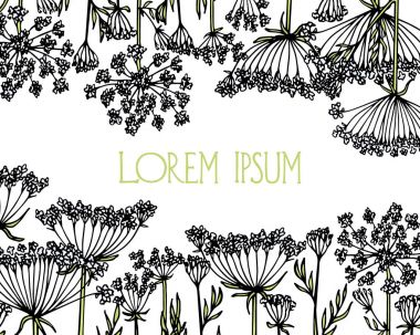 Elle çizilmiş kır çiçeği