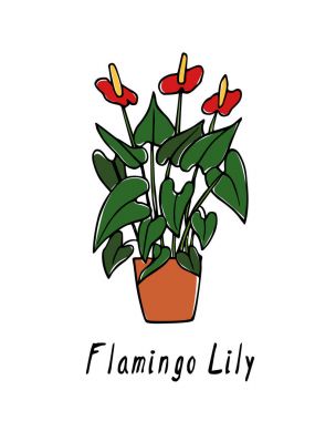 Elle çizilmiş houseplant