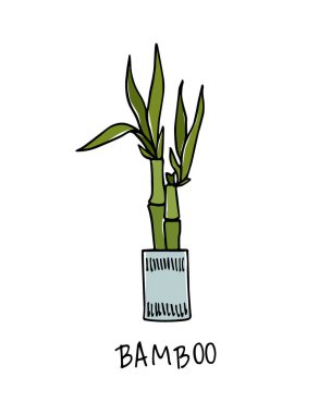Elle çizilmiş houseplant